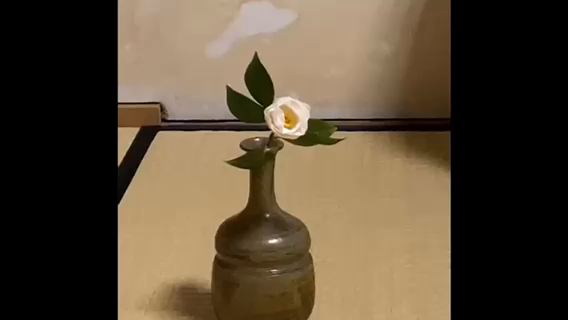 医学部茶道部